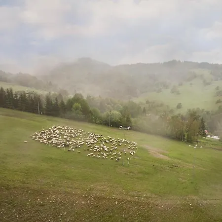 Na Poludniowym Stoku בית אירוח *